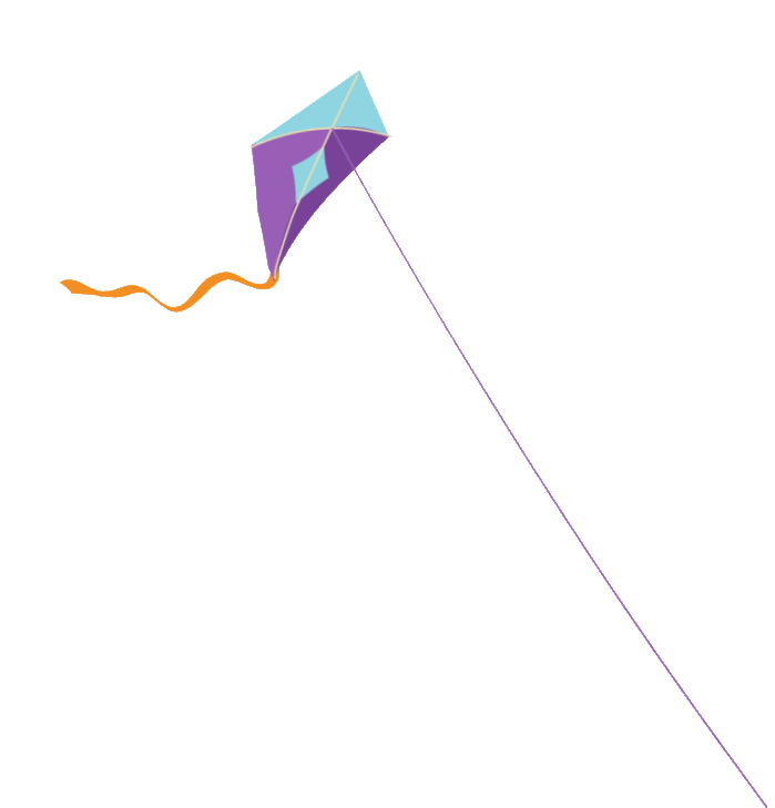 Kite